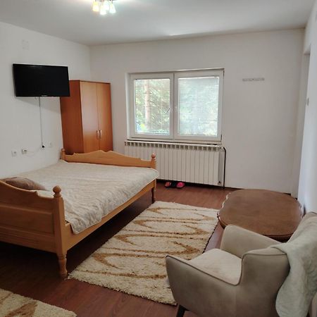 Vila Savinka Златибор Экстерьер фото