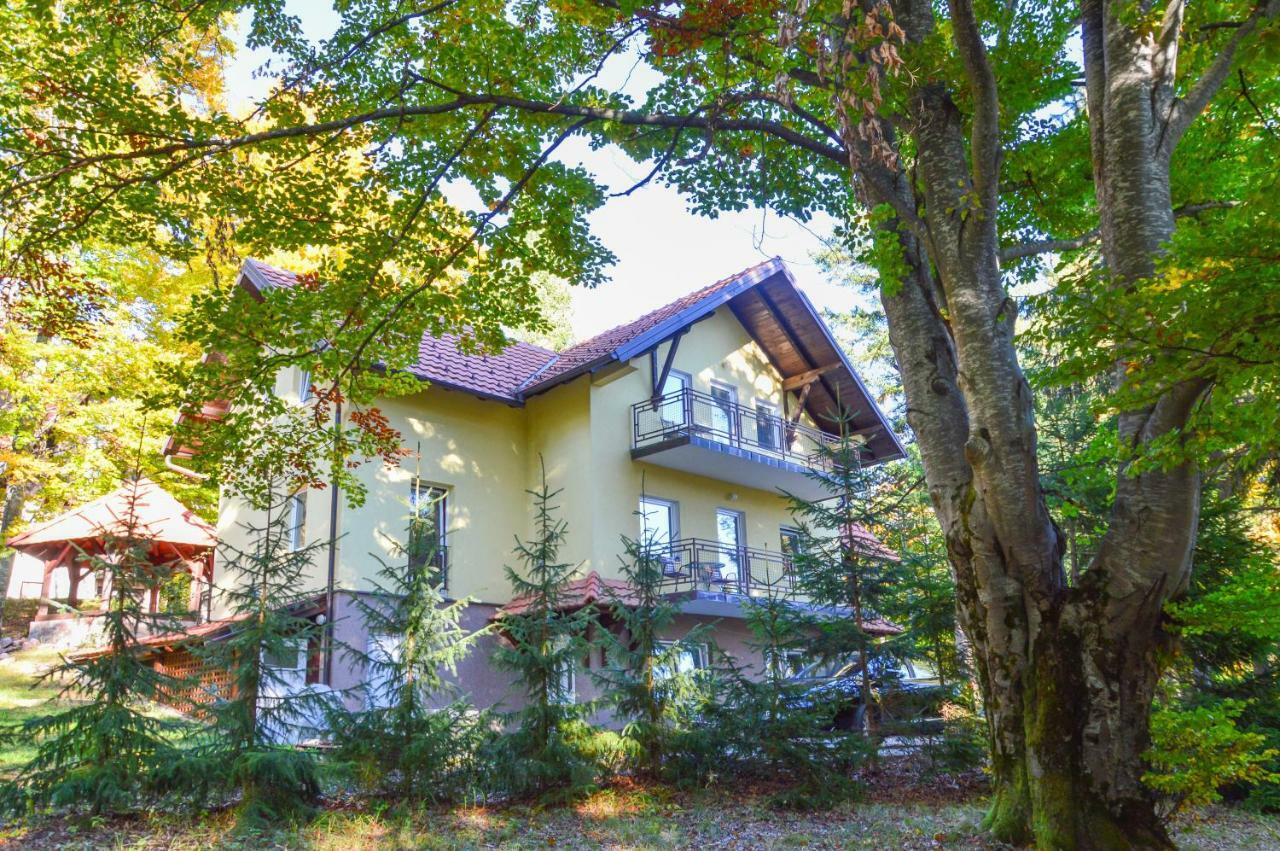 Vila Savinka Златибор Экстерьер фото